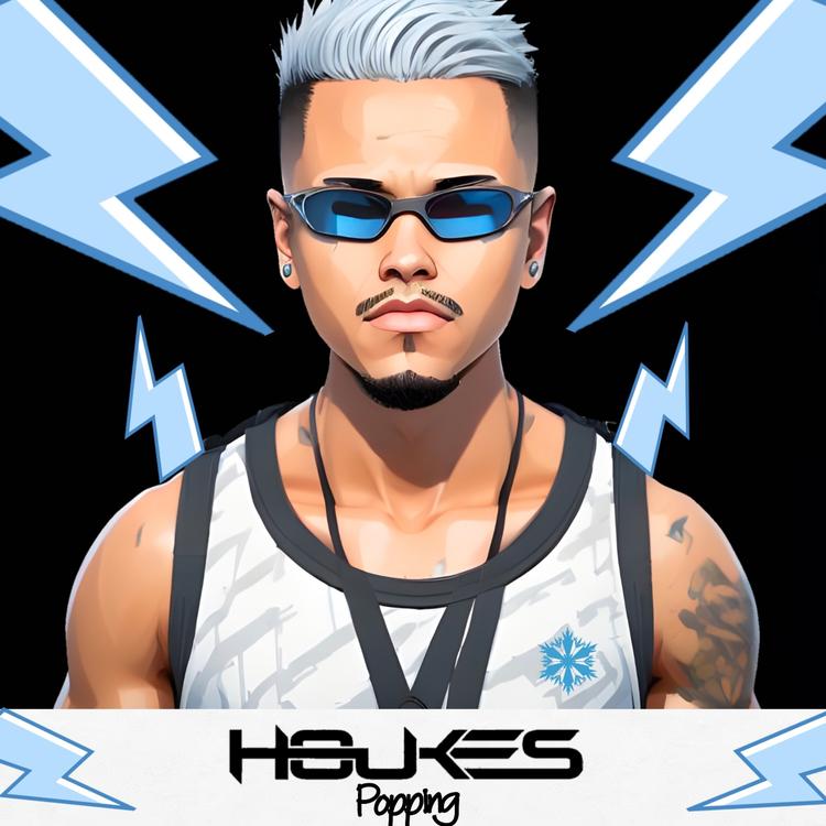 Houkes's avatar image