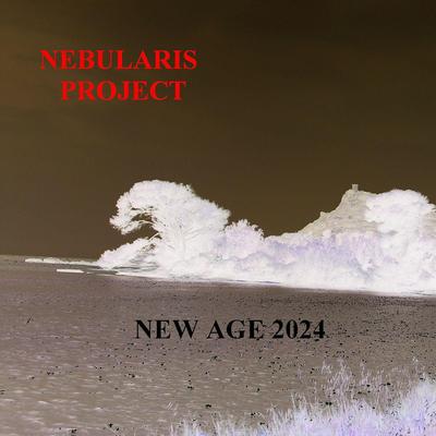 NEBULARIS PROJECT's cover