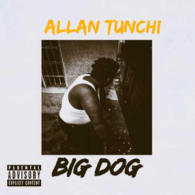 Allan Tunchi's avatar image