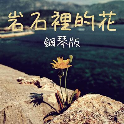 岩石裡的花 (鋼琴版)'s cover