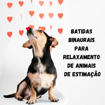 Cachorro feliz e fofo By Música para animais de estimação, Música Para Cães, Dog Music!, Dog Frequency, Hz Frequency Zone, Dogs Music!'s cover