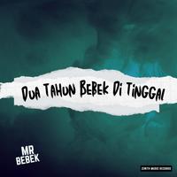 MR BEBEK's avatar cover