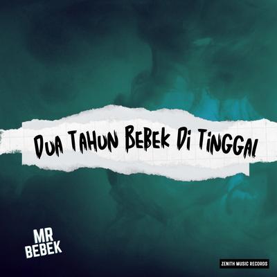 MR BEBEK's cover