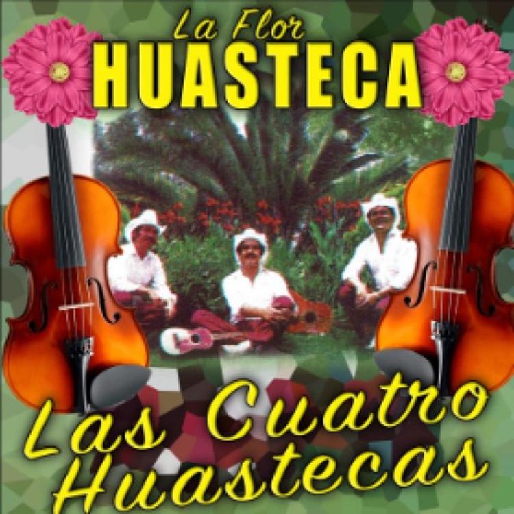 La Flor Huasteca's avatar image