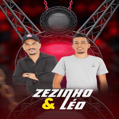 Zezinho e Léo's cover