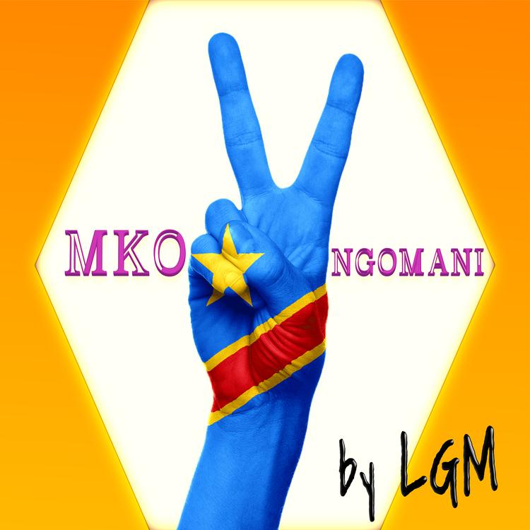 Lgm's avatar image