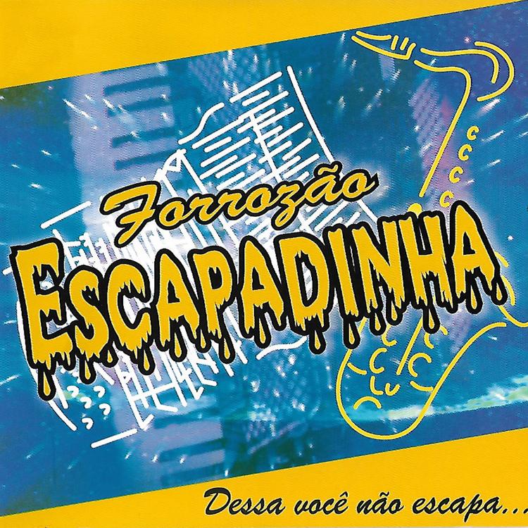 Forrozão Escapadinha's avatar image