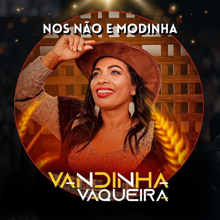 Vandinha Vaqueira's avatar image