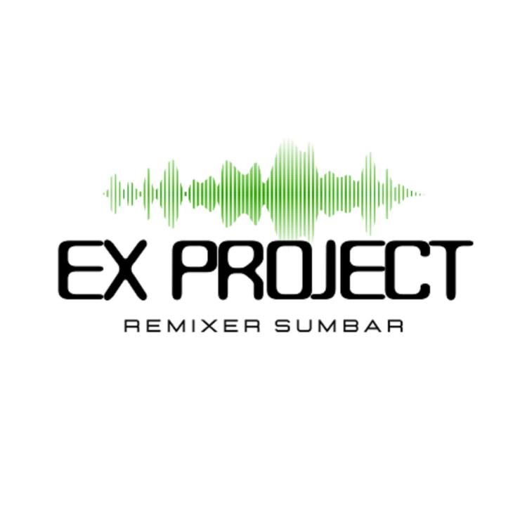 EX ProjecT's avatar image