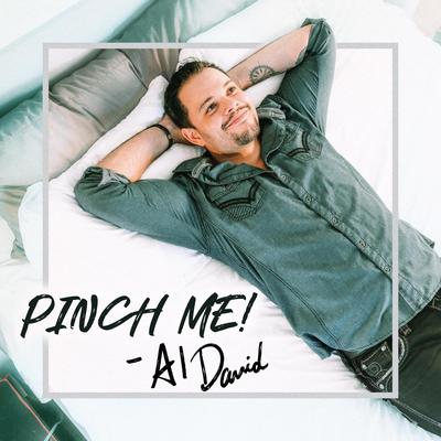 Pinch Me! By Al David's cover