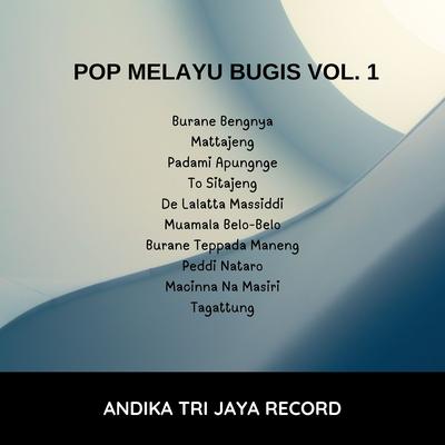 Pop Melayu Bugis Vol. 1's cover