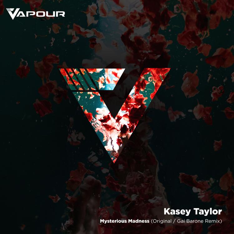 Kasey Taylor's avatar image