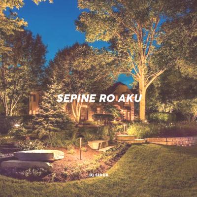 Sepine Ro Aku's cover