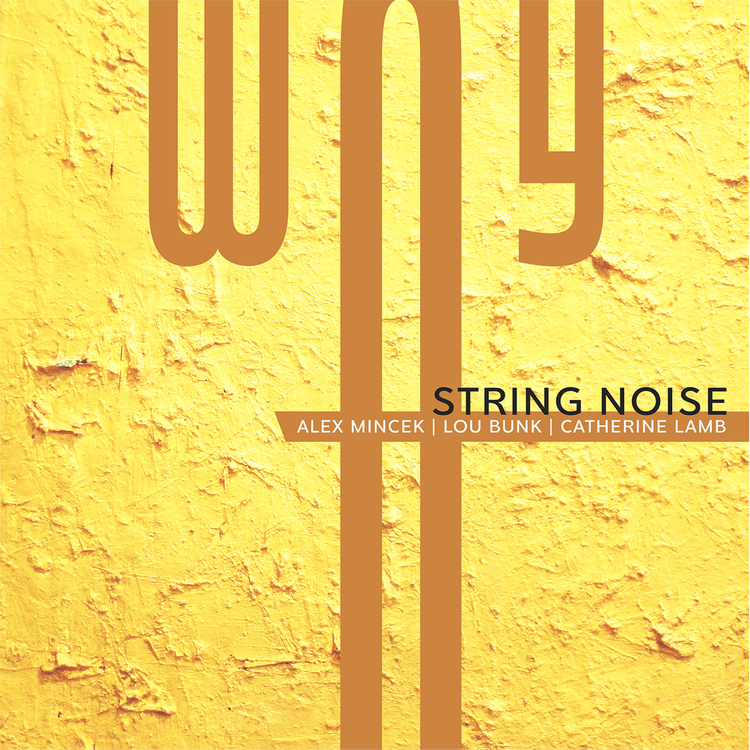 String Noise's avatar image