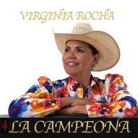 Virginia Rocha's avatar cover