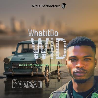 Wid (What It Do)'s cover