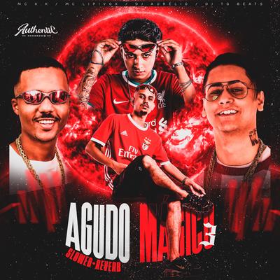 Agudo Mágico 3 Slowed + Reverb By Dj Aurelio, MC Lipivox, DJ TG Beats, MC K.K's cover