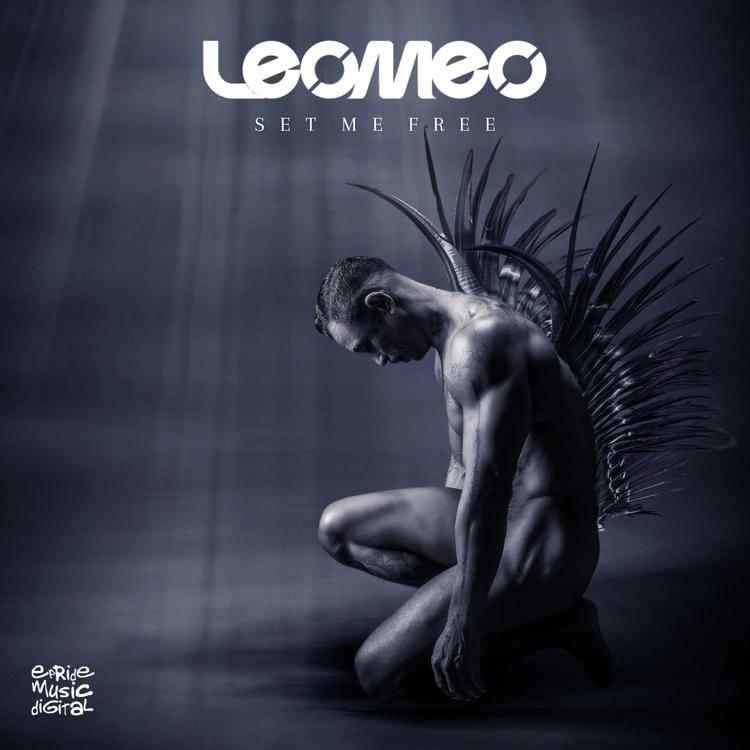Leomeo's avatar image
