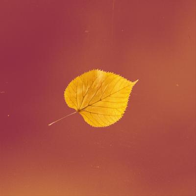 Autumn By Couch, Jackson Lundy's cover