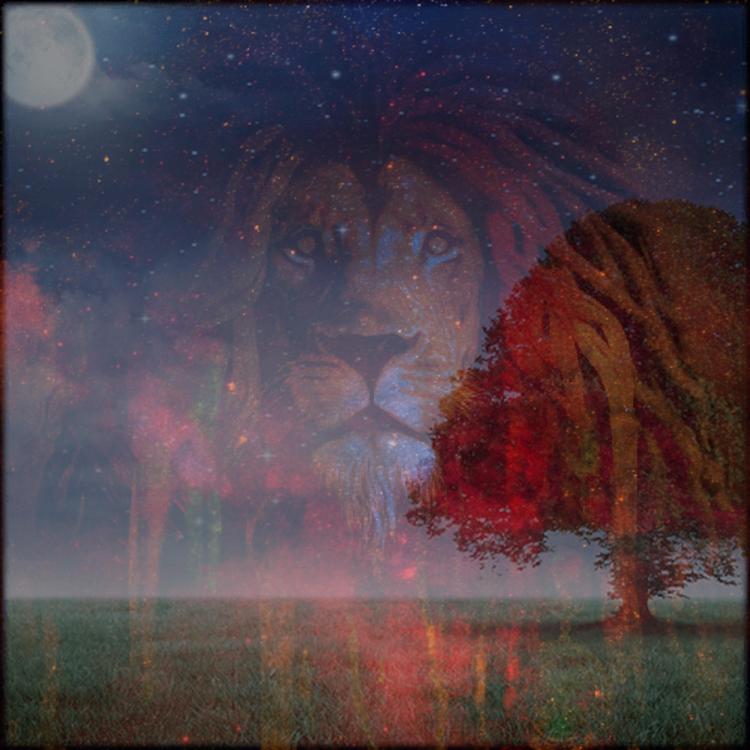 Black Lion Finance's avatar image