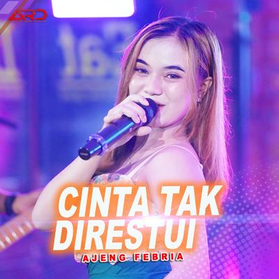 Cinta Tak Di Restui's cover