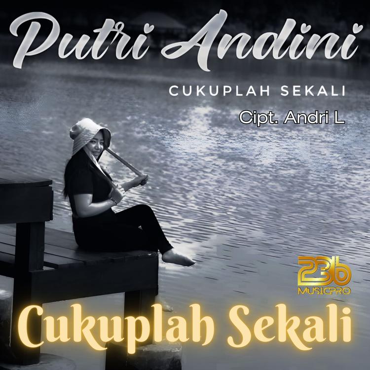 Putri Andini's avatar image