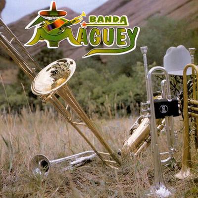 Vamos a Bailar By Banda Maguey's cover