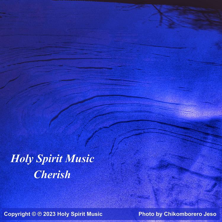 Holy Spirit Music's avatar image