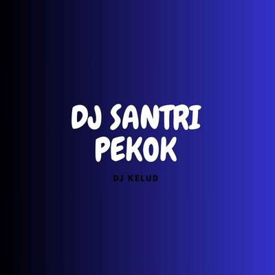 DJ SANTRI PEKOK JEDAG JEDUG's cover