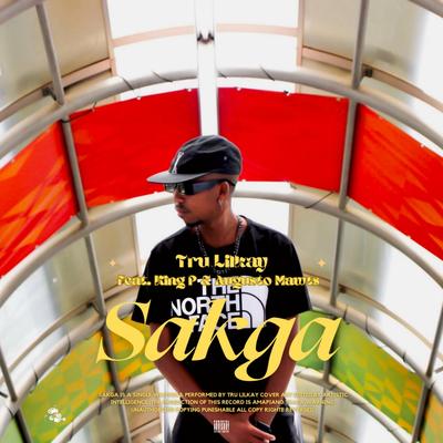 Sakga's cover