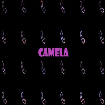 Camela (Ignored Signals)'s cover