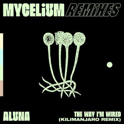 The Way I'm Wired (KILIMANJARO Remix)'s cover