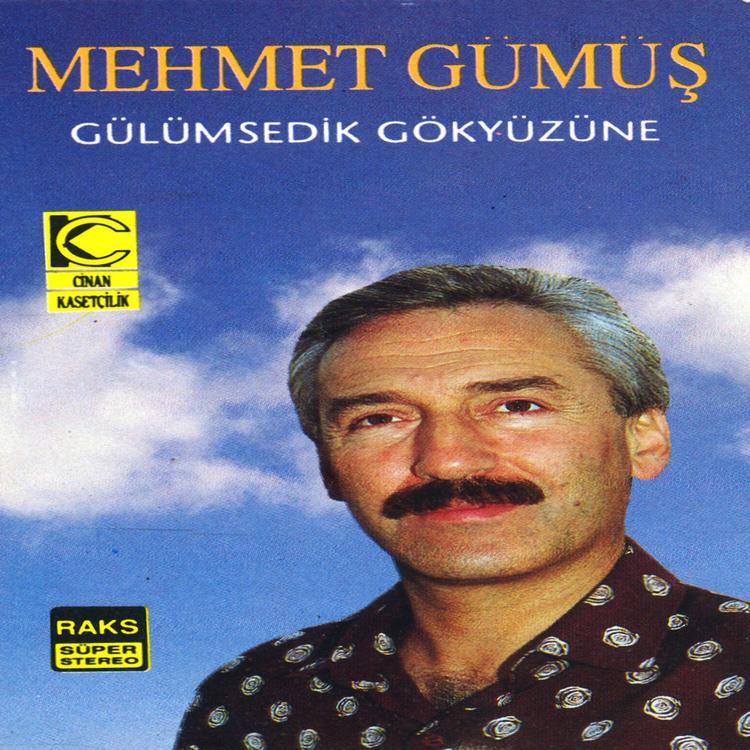 Mehmet Gumus's avatar image