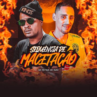 Sequencia de macetação's cover