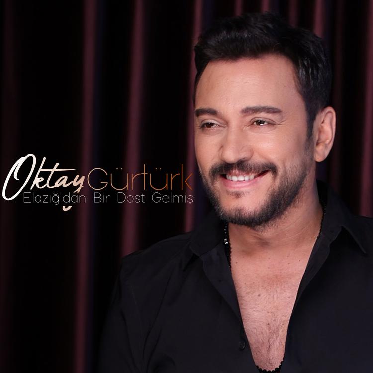 Oktay Gürtürk's avatar image