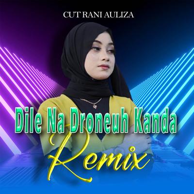 Dile Na Droneuh Kanda (Remix)'s cover