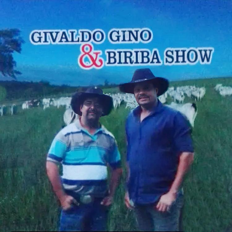 Givaldo Gino & Biriba Show's avatar image