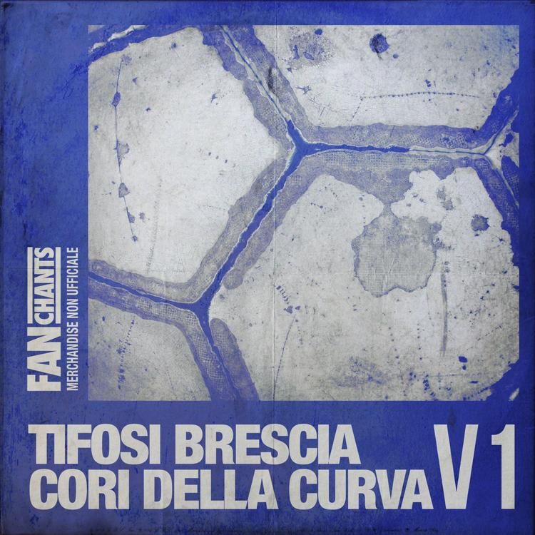 FanChants: Tifosi Bresciani's avatar image