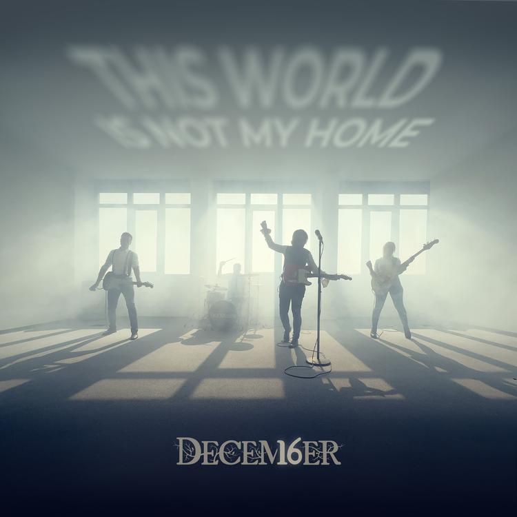 DECEMBER 16's avatar image