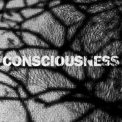 Consciousness By ELEVIN's cover