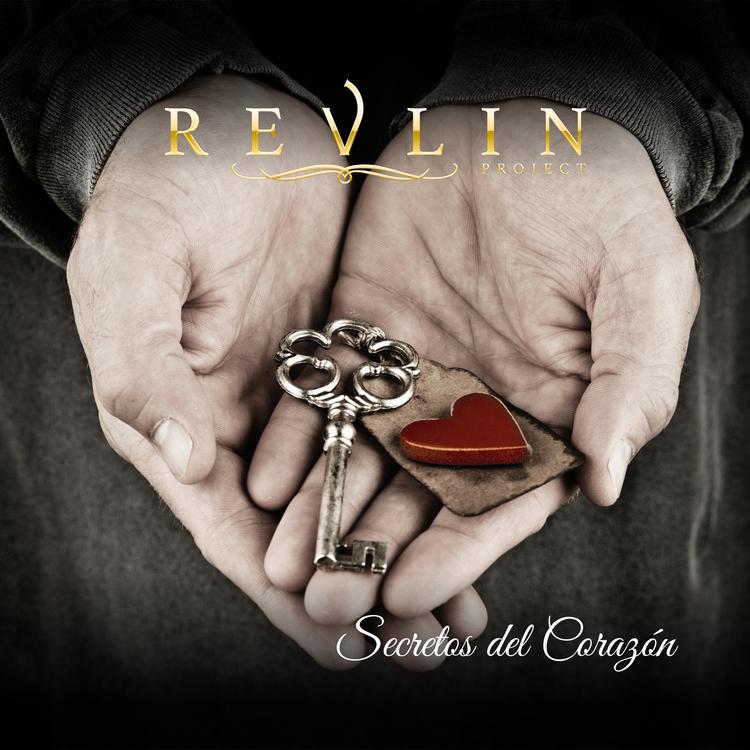 Revlin Project's avatar image