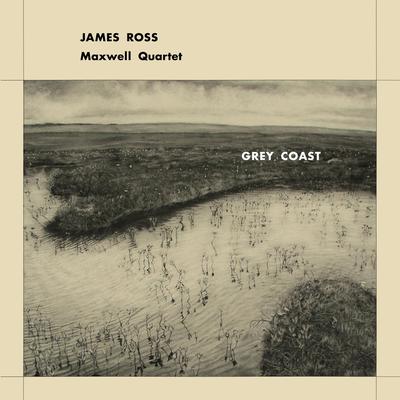 Grey Coast By James Ross, Maxwell Quartet's cover