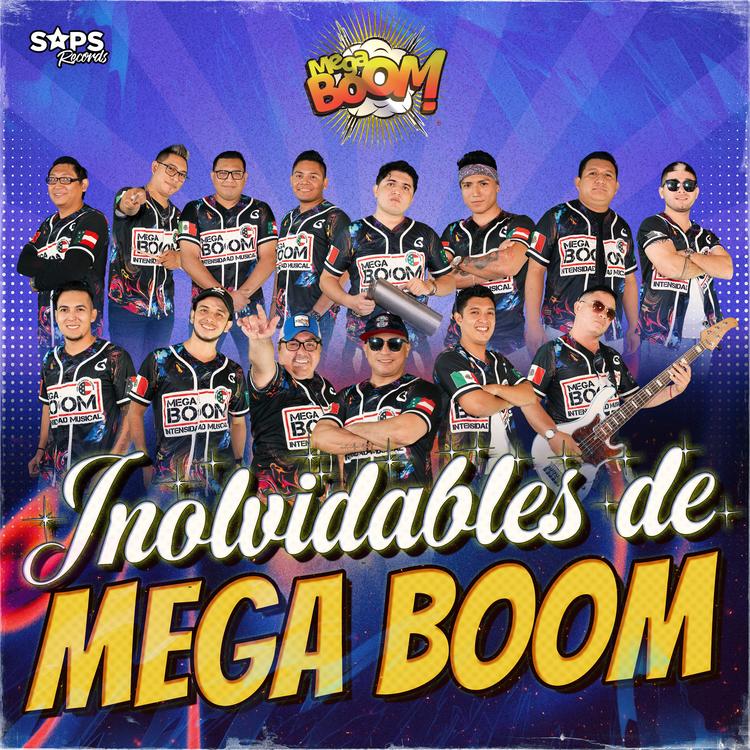 Mega Boom's avatar image