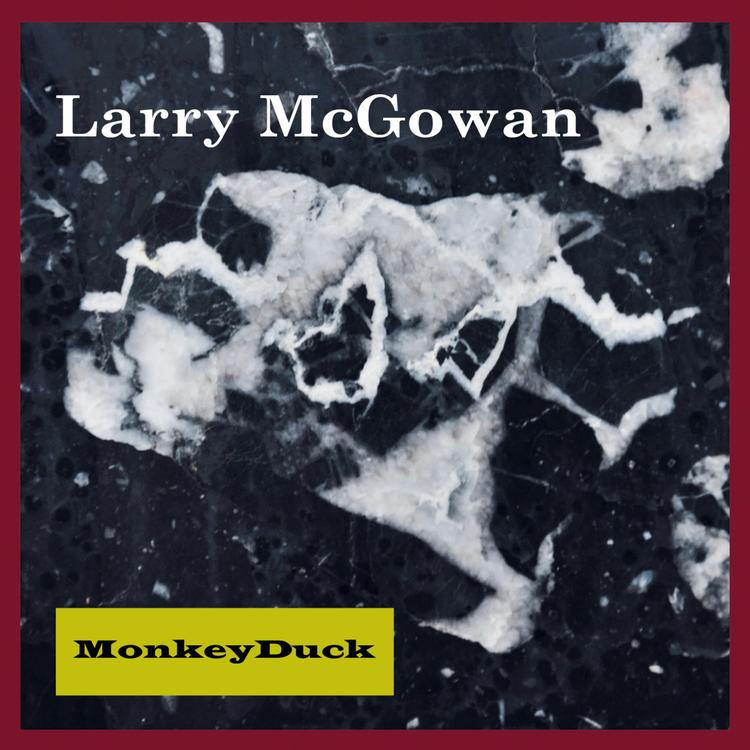 Larry McGowan's avatar image