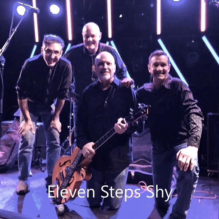Eleven Steps Shy's avatar image