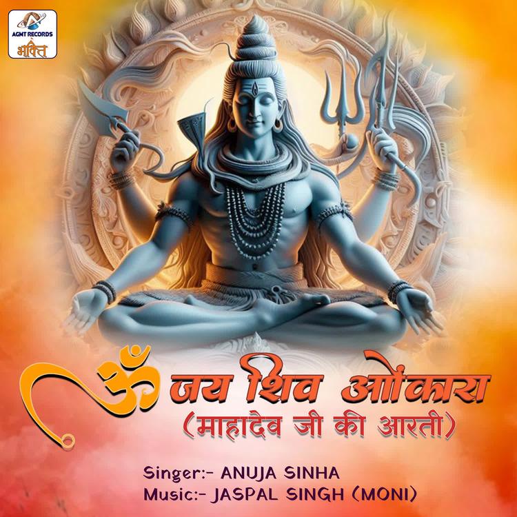Anuja Sinha's avatar image