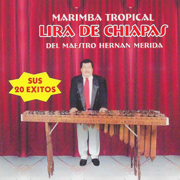 Marimba Tropical Lira de Chiapas's avatar image