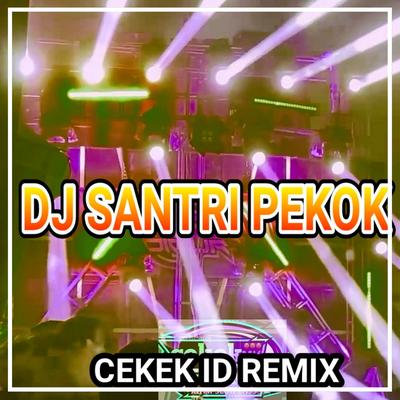 DJ SANTRI PEKOK BASS NGUK's cover