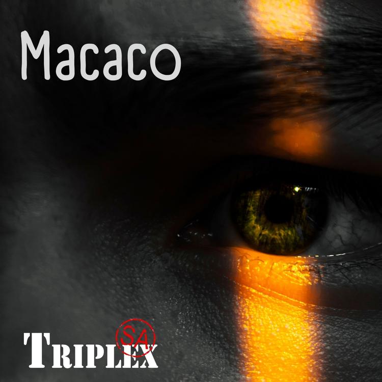 Triplex SA's avatar image