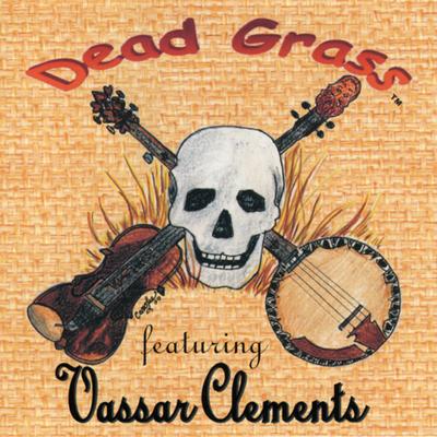 Vassar Clements's cover